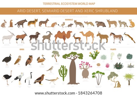 Desert Animals Clipart 