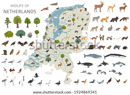 Flat design of Netherlands wildlife. Animals, birds and plants constructor elements isolated on white set. Build your own geography infographics collection. Vector illustration