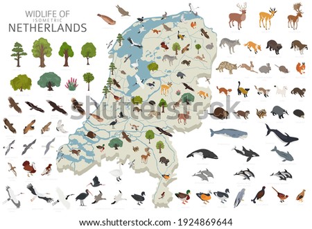 Isomatric 3d design of Netherlands wildlife. Animals, birds and plants constructor elements isolated on white set. Build your own geography infographics collection. Vector illustration