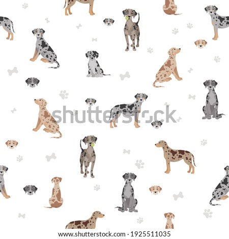 Catahoula leopard dog seamless pattern. Different poses, coat colors set.  Vector illustration