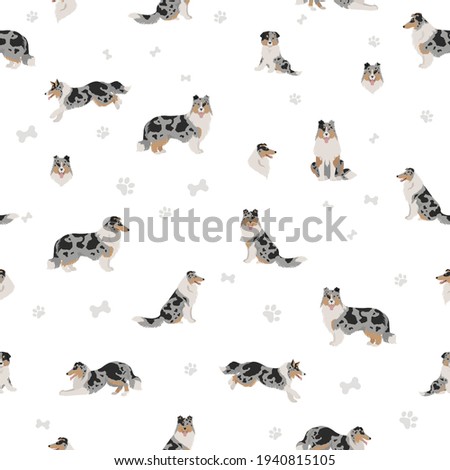 Rough collie clipart. Different poses, coat colors seamless pattern.  Vector illustration