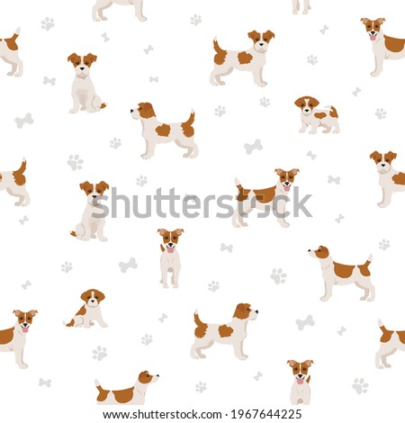 Jack Russel terrier in different poses and coat colors seamless pattern. Adult dogs and puppy set.  Vector illustration