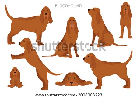 Bloodhound Clipart | Free Download On ClipArtMag