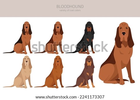 Bloodhound Clipart | Free Download On ClipArtMag