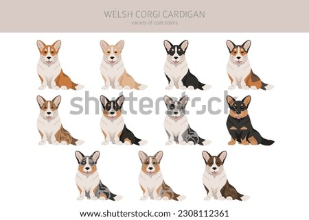 Welsh corgi cardigan clipart. Different poses, coat colors set.  Vector illustration