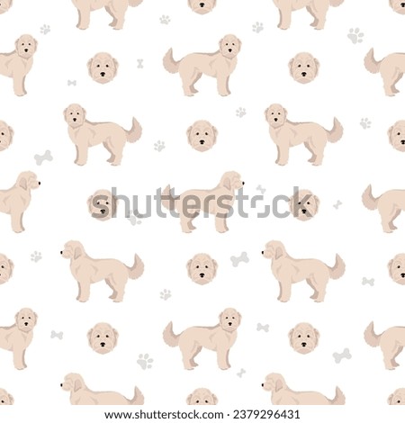 Sammypoo seamless pattern. Samoyed dog Poodle mix. Different coat colors set.  Vector illustration