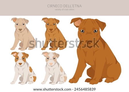 Cirneco dell Etna, Sicilian hound puppy clipart. Different poses, coat colors set.  Vector illustration
