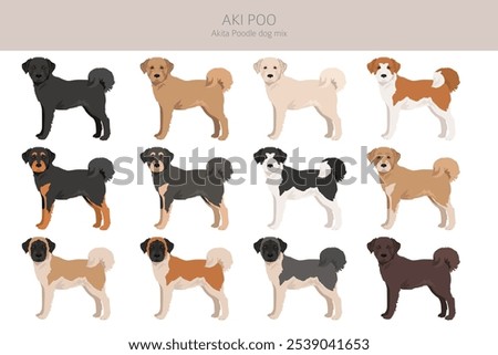 Akita Poodle mix. Aki Poo clipart. Different coat colors set.  Vector illustration