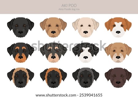 Akita Poodle mix. Aki Poo clipart. Different coat colors set.  Vector illustration