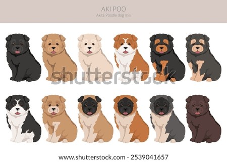 Akita Poodle mix. Aki Poo clipart. Different coat colors set.  Vector illustration