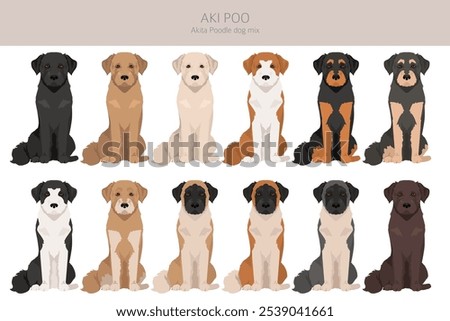 Akita Poodle mix. Aki Poo clipart. Different coat colors set.  Vector illustration