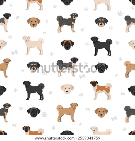 Akita Poodle mix seamless pattern. Aki Poo clipart. Different coat colors set.  Vector illustration