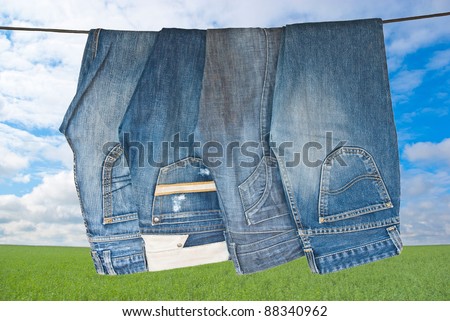 Some blue jeans drying on Green meadow in sunny day