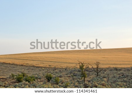 Desert landscape and harvested field under soft blue sky