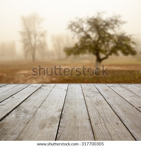 Wooden perspective floor with planks on blurred natural autumn background, can use for display or montage your products template. Copy space. Vintage toned