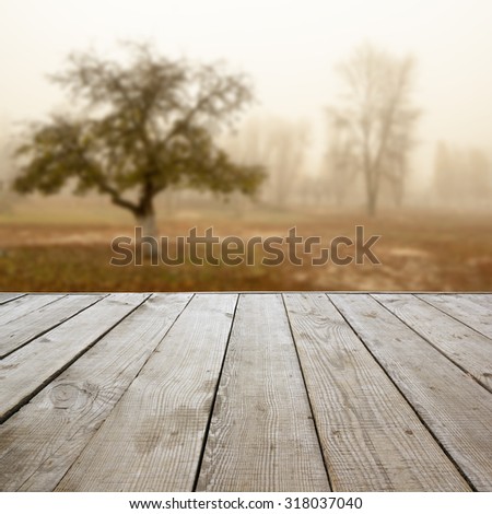 Wooden perspective floor with planks on blurred natural autumn background, can use for display or montage your products template. Copy space