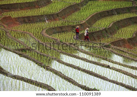 Thai farmers back to go home in the evening /North Thailand