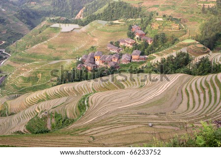 Terraced rice fields / house on mountain
