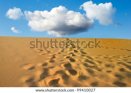 Steps in the desert sand