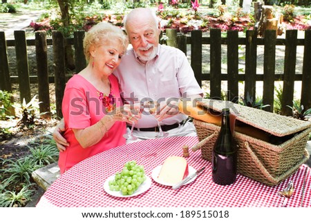 Senior couple on a romantic outdoor picnic.
