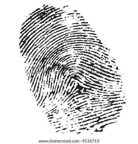 highly detailed illustration of a fingerprint