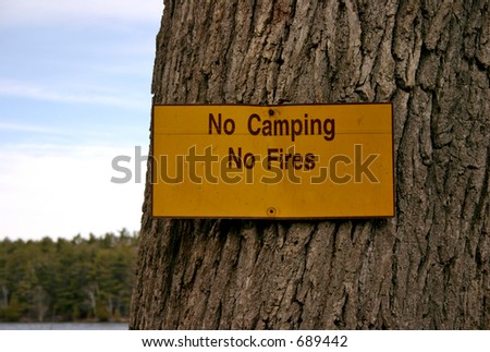No Camping, No Fires sign nailed to a tree. Sky and forest in background