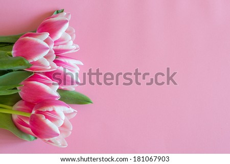 Banch of Pink and white lying on pink background