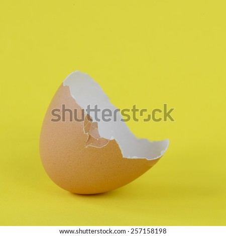 Broken and cracked egg shell.  Broken and cracked egg shell on background