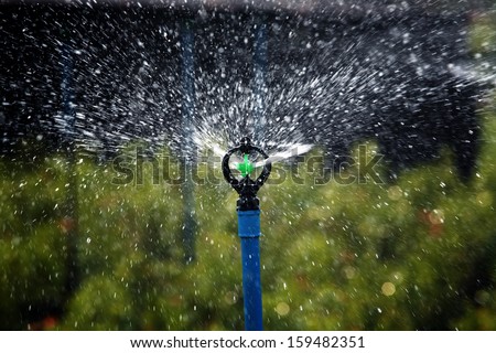 irrigation of agricultural field, water sprinkler