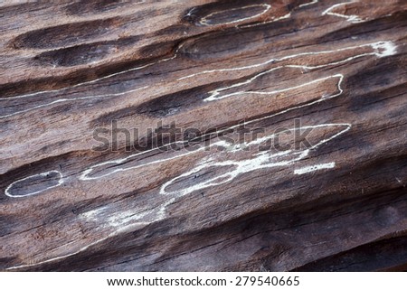 abstract texture on grunge wooden panel