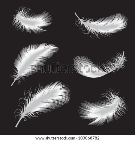 Vector Illustration Of Feather - 103068782 : Shutterstock