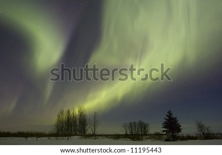 Aurora borealis over fields, Gilbert Plains, Manitoba, Canada