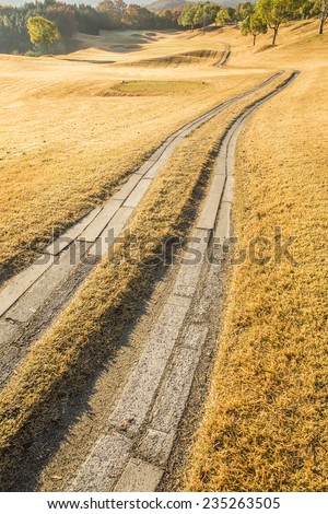 Rural path across autumn golden grass field.
