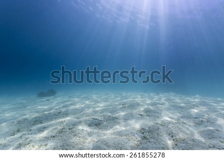 Sandy bottom, sun ray and fish in blue underwater