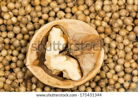Coriander seeds with half of walnut