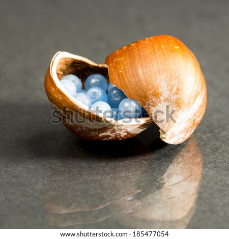 Hazelnut shell with small blue and transparent gemstones on dark background
