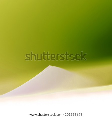 Macro, abstract, background picture of  paper on paper background