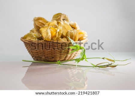 Physalis peruviana fruits in a basket and green plant with light grey background and reflexions