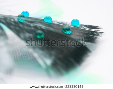 Abstract composition with hen feather and colorful water drops