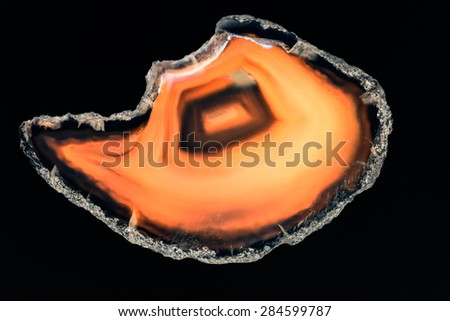 Agate - beautiful, colorful slices and texture