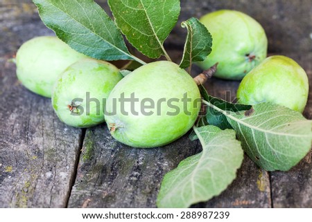 Green, summer apples with old wood texture