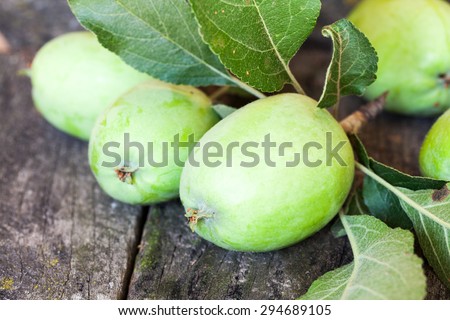 Green, summer apples with old wood texture