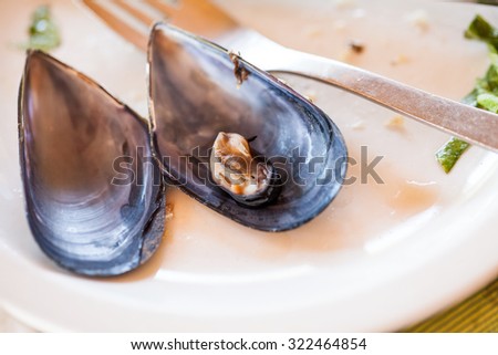 Plate with cooked mussels, shrimps, squid and fish