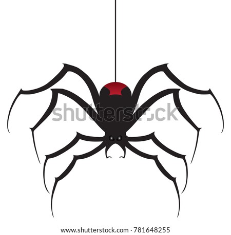 black widow spider vectors
