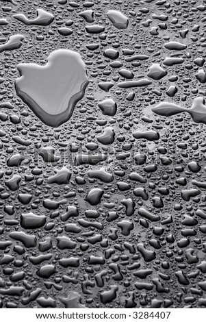 Background of water droplets on black reflective surface