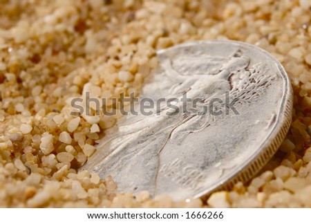 Silver dollar peeks out of the sand inviting the keen eyed beachcomber. Narrow depth of field.