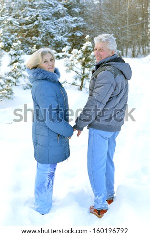 Happy senior couple walking in winter outdoors
