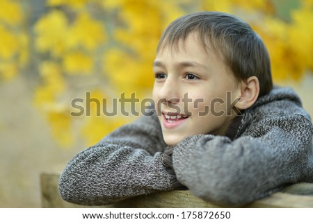 Boy on walk in autumn park