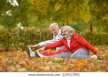 Happy fit senior couple  exercising in autumn park