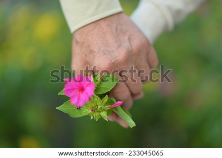 Elderly couple holding hands with flower close-up